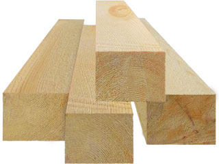 ���� �������� ����������� 100�100 ��